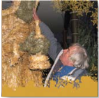 Jaslice Izdelal Anton Kravanja